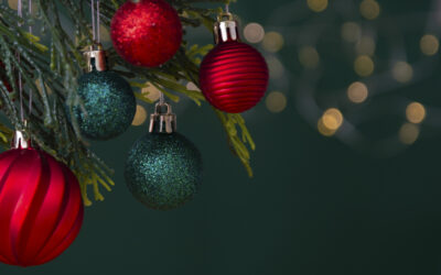 Merry Christmas from Lightwork Energy Systems